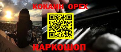 гашик Кандалакша