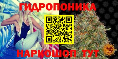 гашик Кандалакша