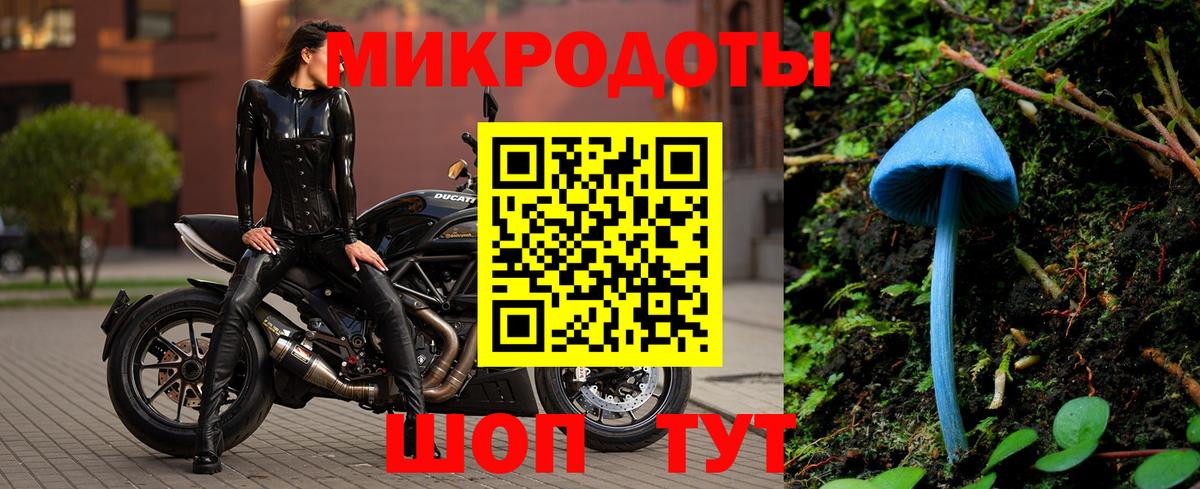 Псилоцибиновые грибы прущие грибы Бирск